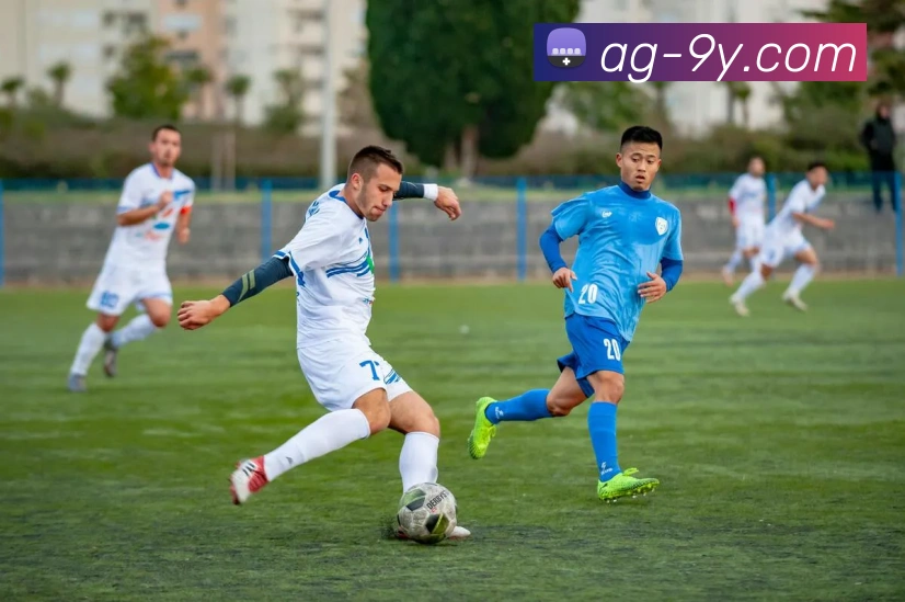 九游官网服务体系